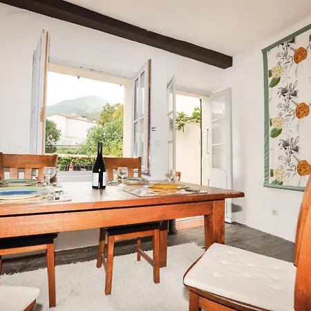 Nyaraló Gorgeous Home In Ceret With House A Mountain View *