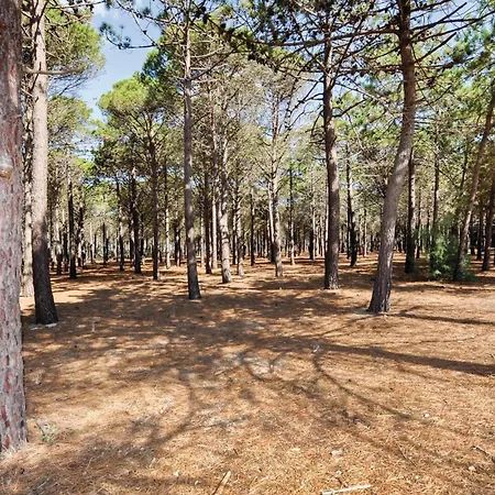 Nyaraló Gorgeous Home In Ceret With House A Mountain View